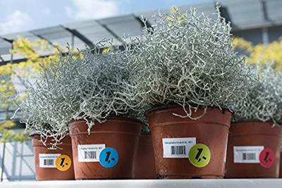 Etiket HERMA 4571 30mm rond folie wit 960 etiketten Etiket HERMA 4571 30mm rond folie wit 960 etiketten