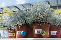 Etiket HERMA 4571 30mm rond folie wit 960 etiketten - thumbnail