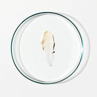 Grown Alchemist Age-Repair Lip Treatment 3.8gr - thumbnail