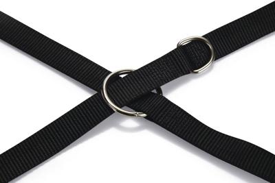Beeztees dubbele linnen van nylon, voor honden, 200 x 2 cm, zwart