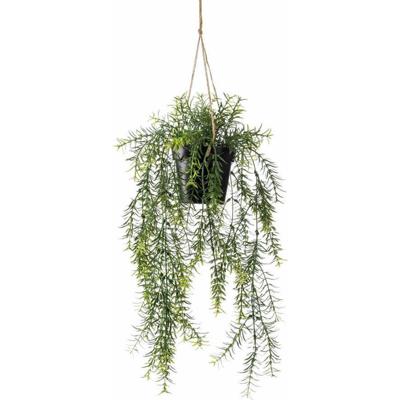 Emerald kunstplant hangend in pot asparagus 50 cm