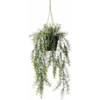 Emerald kunstplant hangend in pot asparagus 50 cm - thumbnail