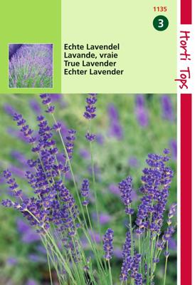 Zaden Lavendel - Lavandula Officinalis Hortitops - Hortitops