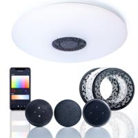 VoiceControl LED Plafondlamp 50 cm met Google Nest & Amazon Echo Dot houder - Bedienbaar met App - thumbnail