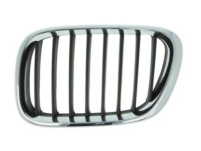 Radiateurgrille 6502070095993P