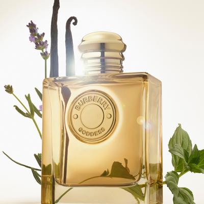 Burberry Goddess Intense Eau de Parfum Spray 30 ml Dames - thumbnail
