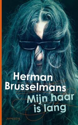 Mijn haar is lang - Herman Brusselmans - ebook