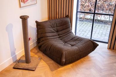 Bruno krabpaal Bruno krabpaal