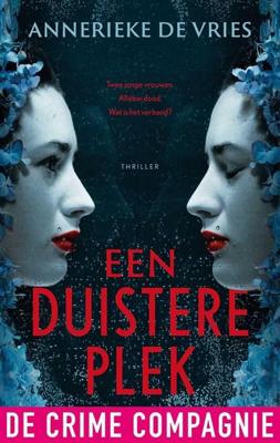 Een duistere plek - Annerieke de Vries - ebook