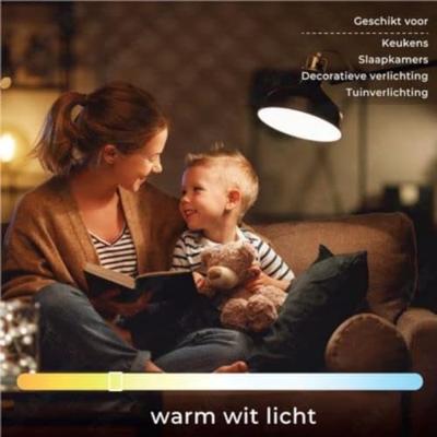 Energetic LED buislamp T25 E14 2,1-25W 2700K filament helder - 2720020 Energetic LED buislamp T25 E14 2,1-25W 2700K filament helder - 2720020