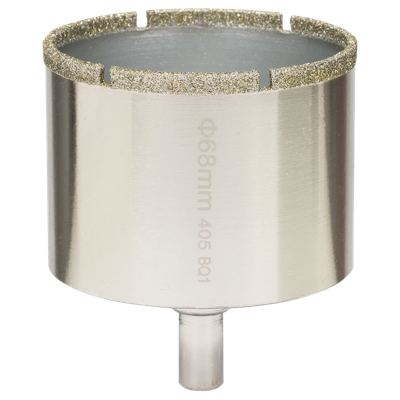 Bosch Accessories 2609256C89 Gatenzaag 53 mm Van diamant voorzien 1 stuk(s)