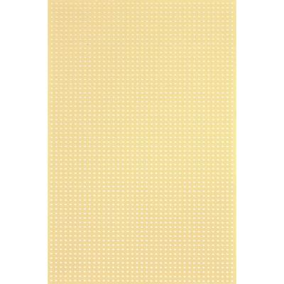 Rademacher WR-Typ 716-5 Printplaat Zonder Cu-laag Hardpapier (l x b) 160 mm x 100 mm Rastermaat 2.50 mm Inhoud 1 stuk(s)