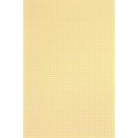 Rademacher WR-Typ 716-5 Printplaat Zonder Cu-laag Hardpapier (l x b) 160 mm x 100 mm Rastermaat 2.50 mm Inhoud 1 stuk(s) - thumbnail