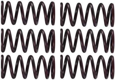 TRW koppelingsveren set clutch spring kit mef300-6