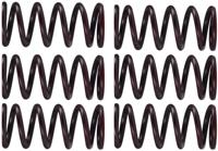 TRW koppelingsveren set clutch spring kit mef300-6 - thumbnail