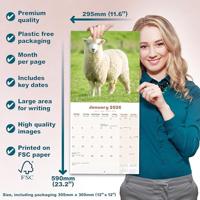 Schapen Kalender 2026 - thumbnail