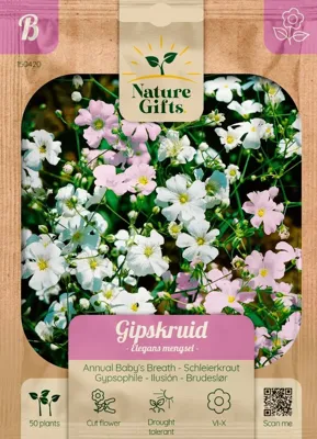 Gipskruid elegans mengsel 60st