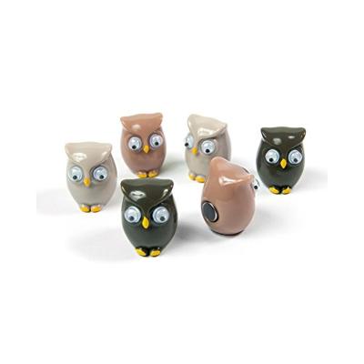 Trendform Magnetische Uil - set van 6 verschillende