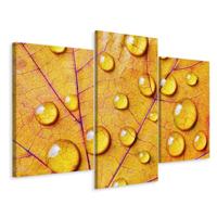Schilderij - Waterdruppels op een herfst blad, 3 luik, Premium Print - thumbnail
