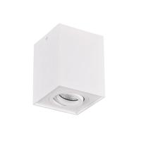 Trio Biscuit - 613000131 - thumbnail