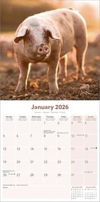 Varken Kalender 2026