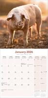 Varken Kalender 2026 - thumbnail