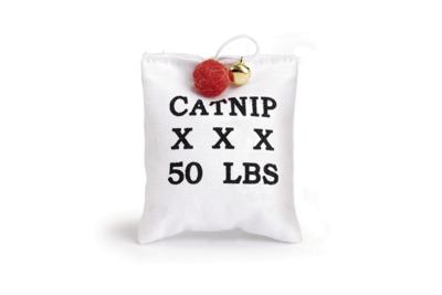 Canvas zakje met catnip 10 - Beeztees
