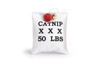 Canvas zakje met catnip 10 - Beeztees - thumbnail