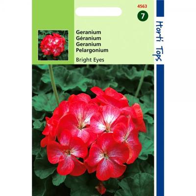 Zaden Pelargonium Geranium Bright Eyes F1 rood / Wit Hortitops - Hortitops