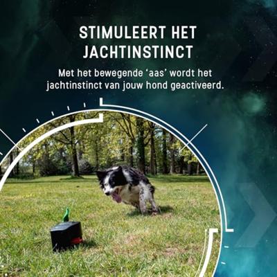 Dog Comets Star Chaser - thumbnail