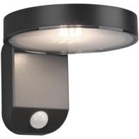 LED Solar Tuinverlichting 4W - Antraciet Met Bewegingssensor - Zonne-energie - thumbnail