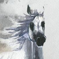 Komar Into Adventure Fotobehang Wild Ride - IAX4-0030 - thumbnail