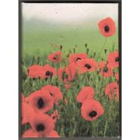 Notitieboek Large Klaprozen - thumbnail