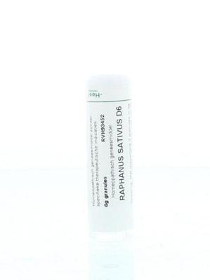 Homeoden Heel Raphanus sativus D6 6 Gram Homeoden Heel Raphanus sativus D6 6 Gram