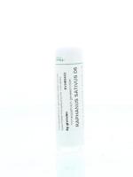 Homeoden Heel Raphanus sativus D6 6 Gram - thumbnail