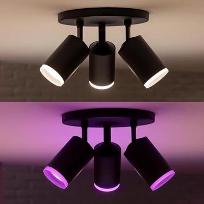 Philips Hue LED-plafondspots 929003810101 Fugato GU10 12.6 W Warmwit tot koudwit, RGB Philips Hue LED-plafondspots 929003810101 Fugato GU10 12.6 W Warmwit tot koudwit, RGB