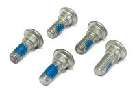 TRW bouten set screw set 5pcs. m8x1,25 - thumbnail