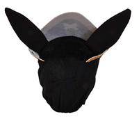 Bing pirata - thumbnail