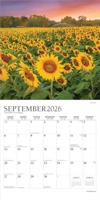 Sunflowers Kalender 2026 - thumbnail
