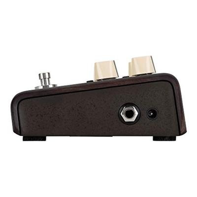 LR Baggs Align Series Delay