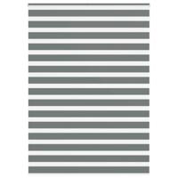 VidaXL Zebra rolgordijn 165x200 cm stofbreedte 160,9 cm donkergrijs - thumbnail