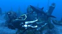 Tomb Raider Underworld - thumbnail