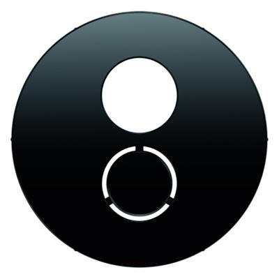 Berker luidspreker centraalplaat R1-R3 zwart 11962045