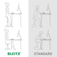 Leitz Zit/stastoel Ergo Cosy Grijs 65180089 - thumbnail