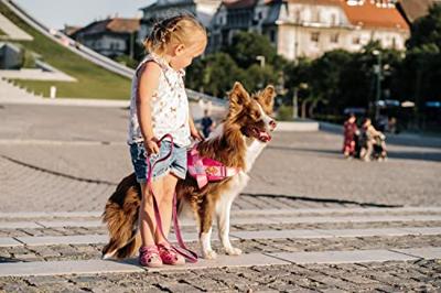 JK9® Paw Patrol Hondentuig Skye - Maat L