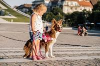 JK9® Paw Patrol Hondentuig Skye - Maat L - thumbnail