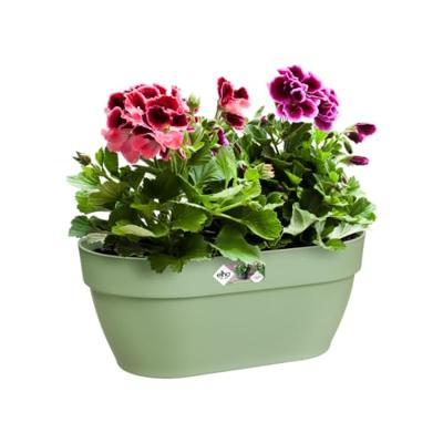 Elho vibia campana wall basket 35 pistache groen Elho vibia campana wall basket 35 pistache groen