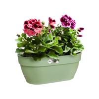 Elho Wandpot vibia campana bas 35cm Groen - thumbnail