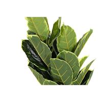 Decoratieve plant DKD Home Decor Polyethyleen Groen 40 x 40 x 120 cm Stads - thumbnail