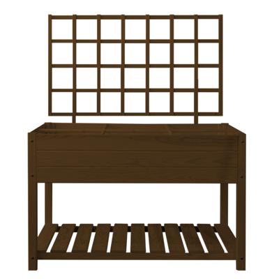 Esschert Design trellis verhoogde kweekbak bruin L
